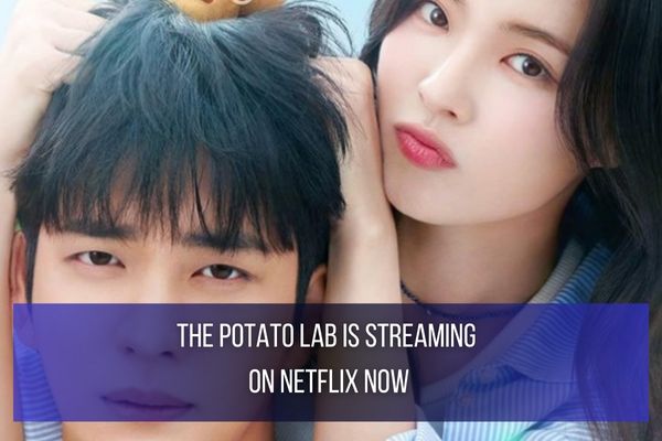 The Potato Lab